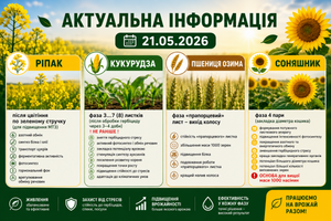 Актуальна інформація на 21.05.2026   фото